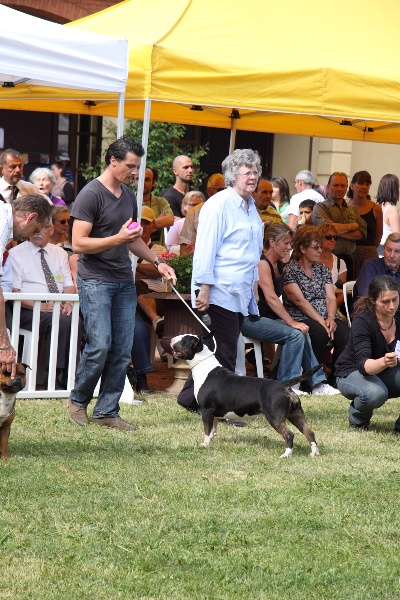 Exposition ROANNE Dimanche 1er Mai 2011